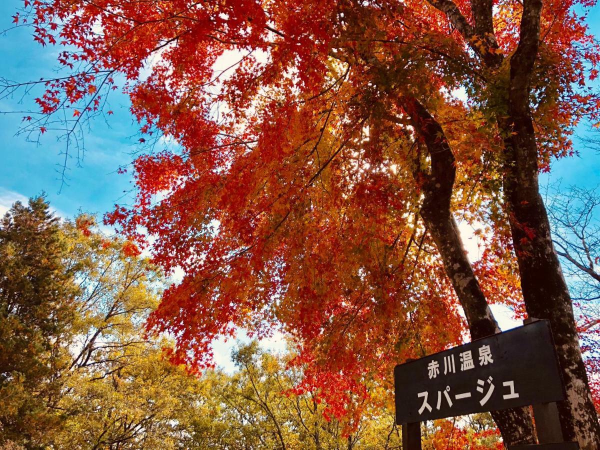 赤川温泉Spaju酒店 竹田 外观 照片